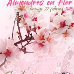 Ruralma-Almendros en Flor - Alpartir - 01