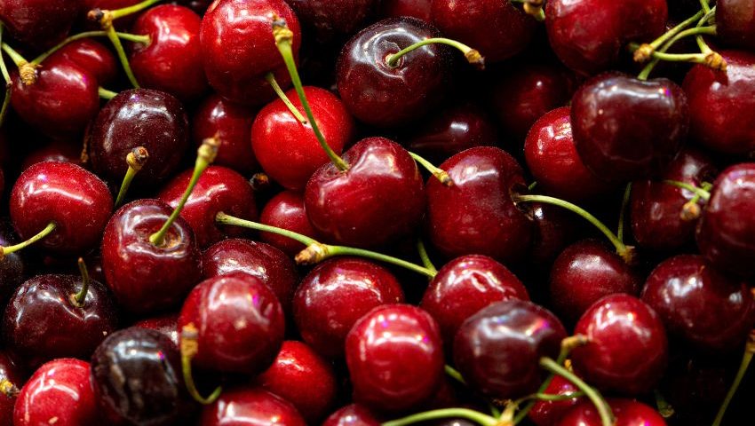 cerezas