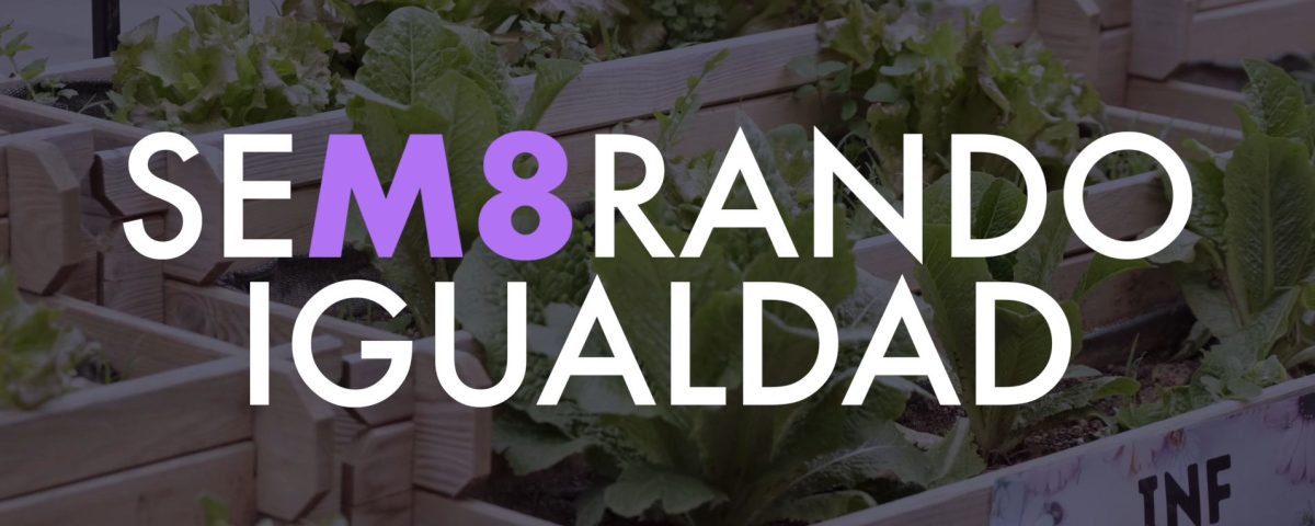 sembando igualdad 8m 2026