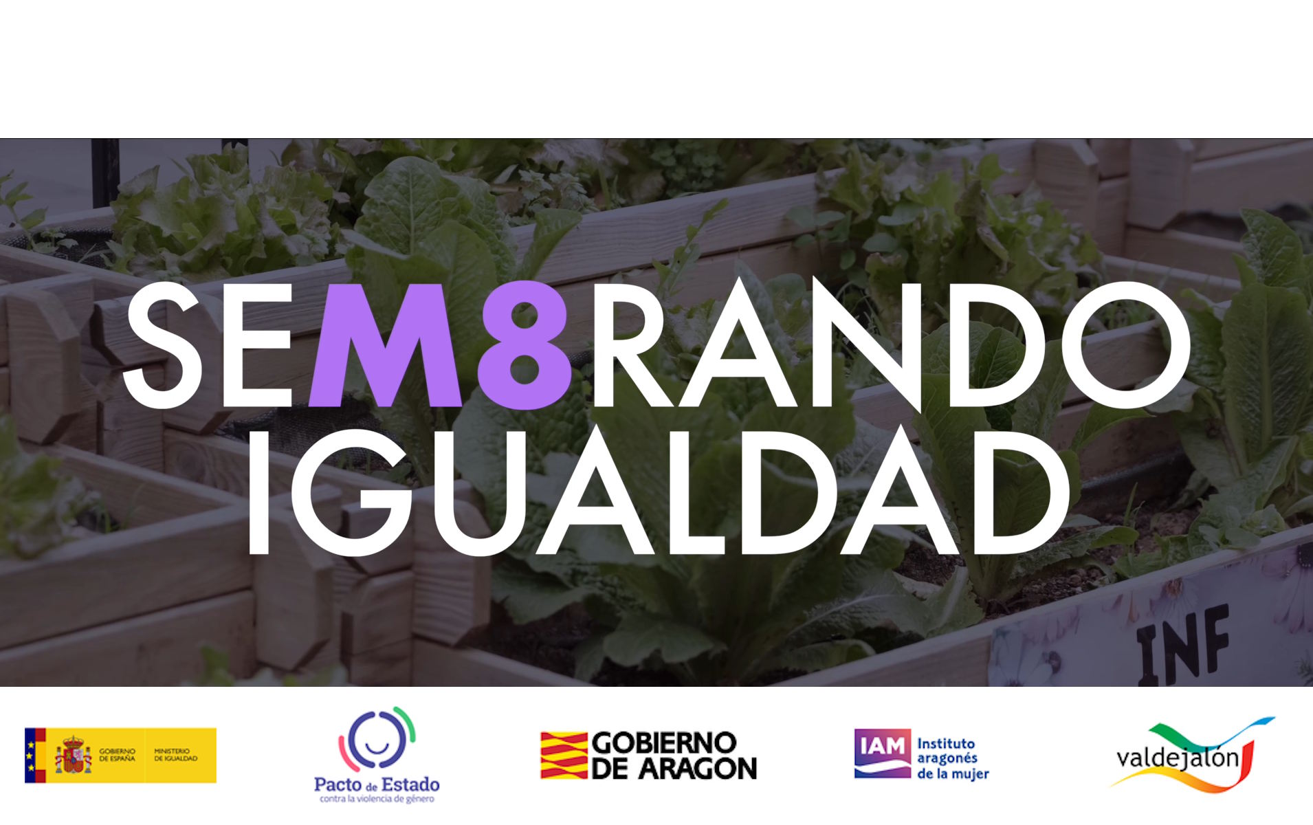 sembando igualdad 8m 2026