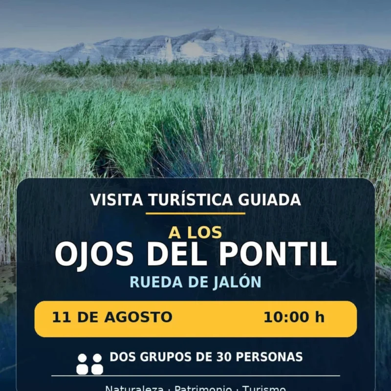 Visita Guiada - Ojos de Pontil - Rueda de Jalón